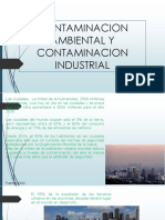 Contaminacion Ambiental Industrial