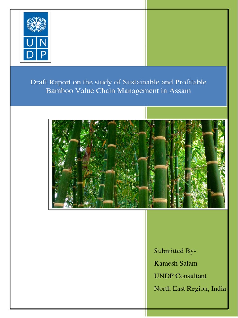 Bamboo - Draft Report On The Study of Sustainable and Profitable Bamboo ...