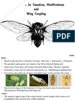 Insect Wings, Its Venation, Modifications and Wing Coupling: Ravy Raaz