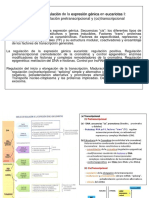 Regulación Pretranscripcional y (Co) Transcripcional: Lección 5. Regulación de La Expresión Génica en Eucariotas I