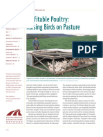 Profitable Poultry: Raising Birds On Pasture: Livestock Alternatives