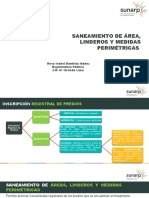 Rectificacion de Areas y Medidas Perimetricas Final