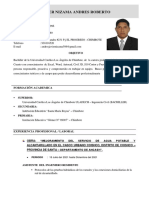 CV Javiernizamaandres