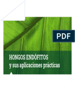 Hongos Endófitos