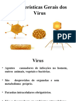 Características Gerais dos Vírus em