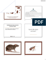 Slides - Controle de Infestações