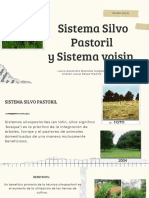 Sistema Salvo Pastoril y Sistema Voisin