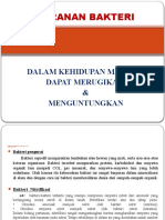 PERANAN BAKTERI PD MANUSIA (Mid)