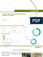 Pastagem - Resultados de Calaris - 2021 VFINAL