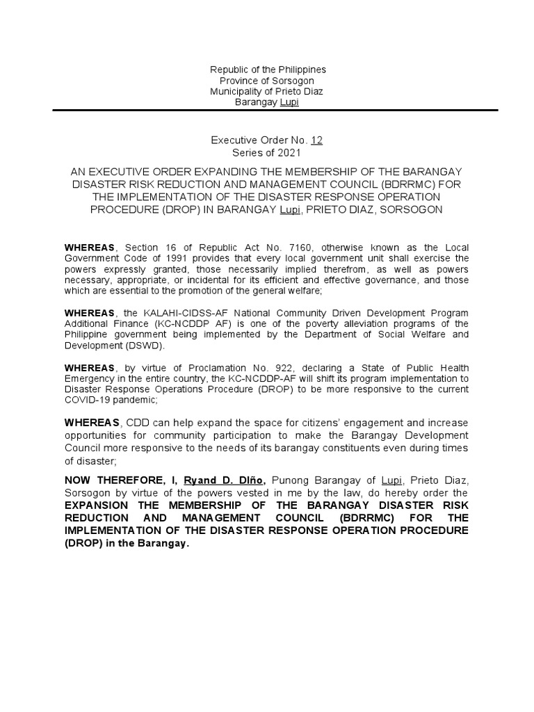 Executive Order Expanding BDRRMC PDF Social Institutions Government