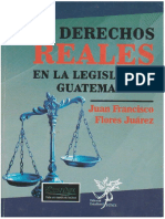 Libro de Derechos Reales Lic Flores