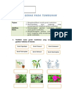 LKPD Alat Gerak Tumbuhan