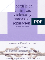 Abordaje en Dinámicas Violentas y Procesos de Separación