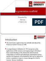 Tissue Regeneration Scaffold