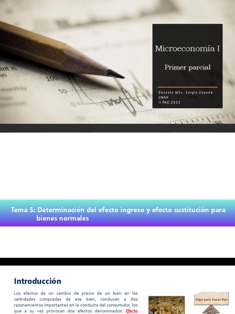 Efecto Ingreso y Sustitución en Bienes | PDF | Precios | Bienes