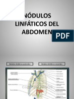 Nódulos Linfáticos Del Abdomen