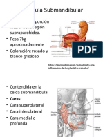 Glándula Submandibular