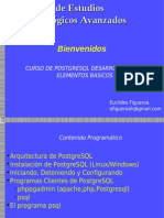 PostgreSQL DesarrolladoresBasico