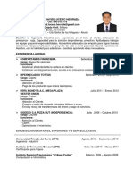 CV David Lucero Herrada