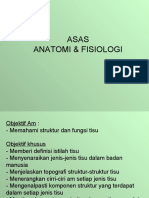 Asas A&p Tisu