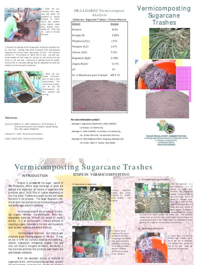 Vermicomposting Sugarcane Trashes Guide | PDF | Compost | Manure