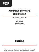 Offensive Software Exploitation: Ali Hadi