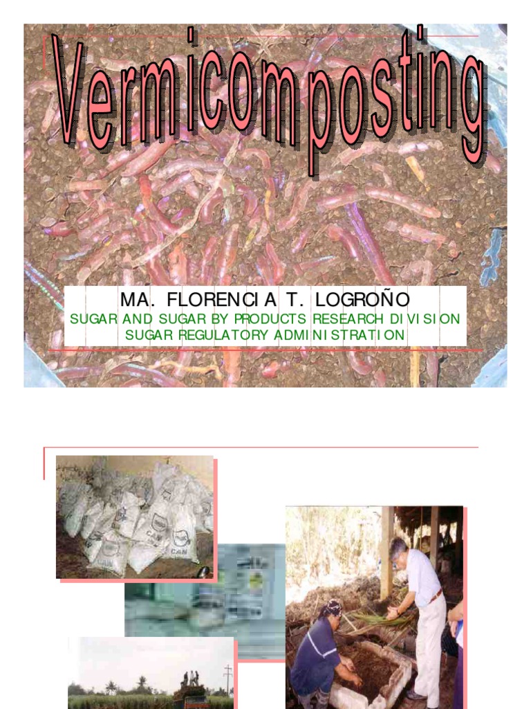 Vermicomposting 1 | PDF | Compost | Fertilizer