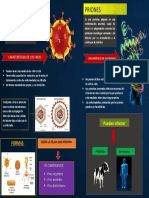 Virus y Priones Unt