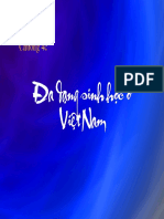 4 1 DDSHoVietnam