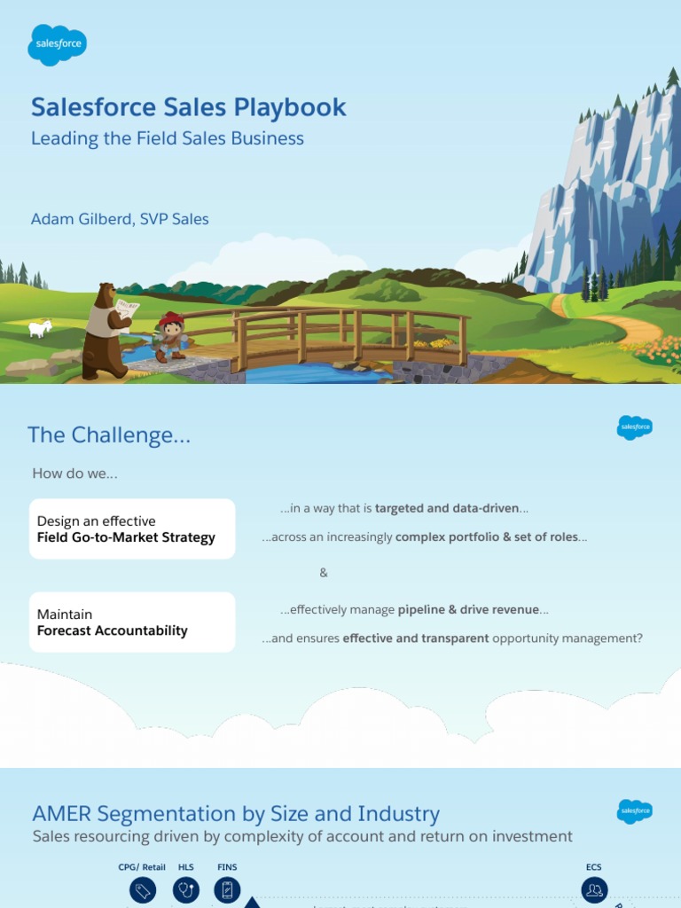Salesforce Sales Playbook Overview | PDF | Analytics | Sales