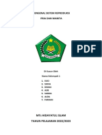 Mengenal Sistem Reproduksi