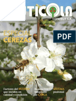 Especial Cerezas