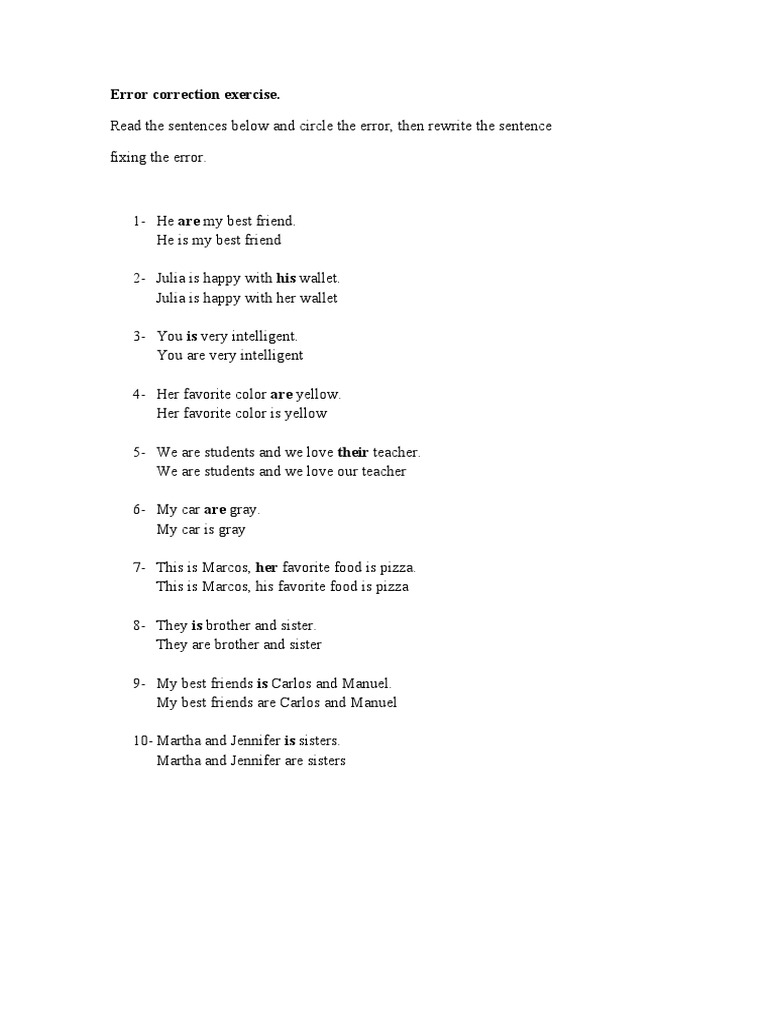 Error Correction Exercise PDF