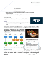 Shs Module v2020 #m3.2-1