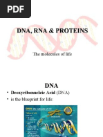 DNA, RNA, and Protein Synthesis Overview | PDF | Translation (Biology ...