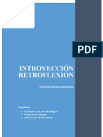 Grupo Introyección y Retroflexión