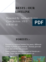 Forests: Our Lifeline: Presented By: Subhash Kumar Class, Section: VII D Roll No:42