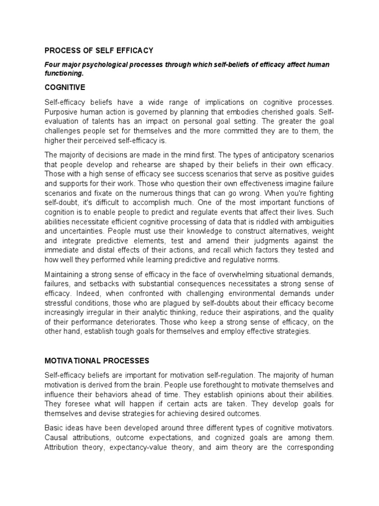 Understanding Self-Efficacy Processes | PDF | Self Efficacy | Stress ...