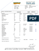 ReporteResultado XIAO FELINO01