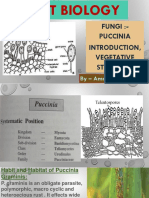 Fungi:-Puccinia Introduction, Vegetative Structure: by - Amrita Kushwaha Mam