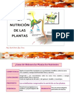 Nutriciòn de Las Plantas