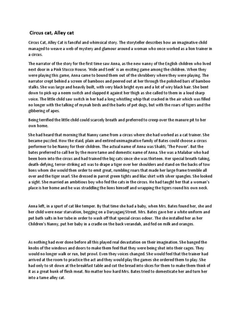 Circus Cat Alley Cat Summary Handouts PDF