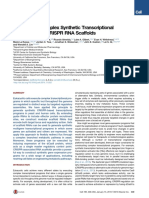 Engineering Complex Synthetic Transcriptional Programs with CRISPR RNA Scaffolds