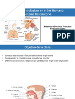 Sistema Respiratorio