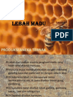 LEBAH MAdu