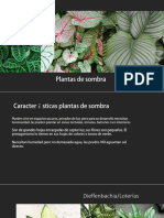 Plantas de Sombra