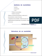 Metabolismo de Nucleótidos