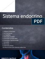 Sistema Endocrino