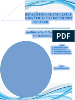 Informe Encuestas Sociodemograficas
