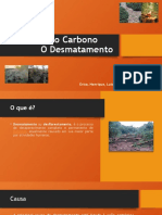 Ciclo Do Carbono O Desmatamento: Érica, Henrique, Luis Gustavo e Stephanie